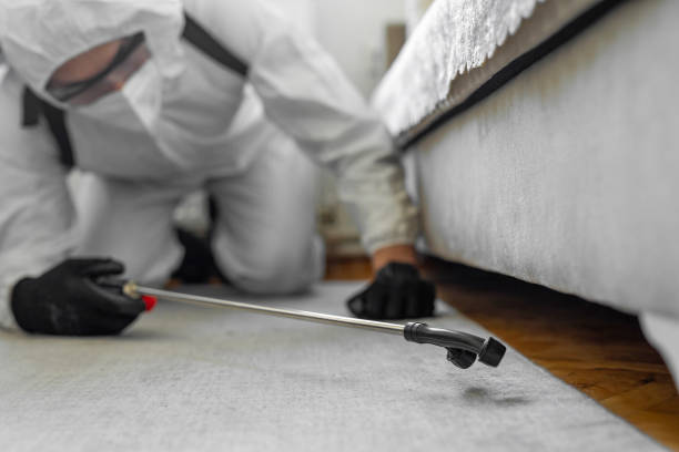Professional Bed Bug Control technician working in Town Creek, AL