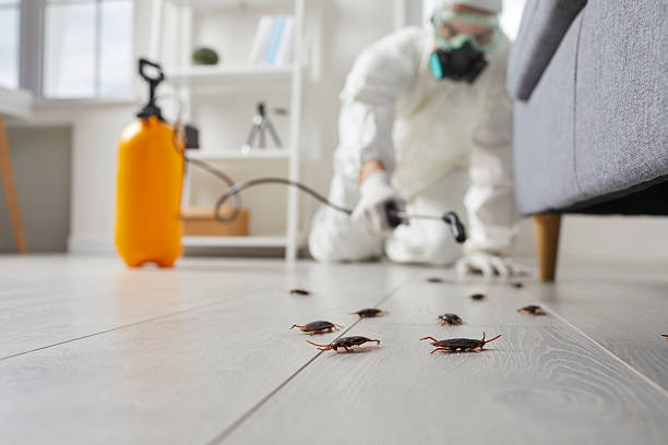Trusted Termite Control service in Town Creek, AL - Nex Pest Control