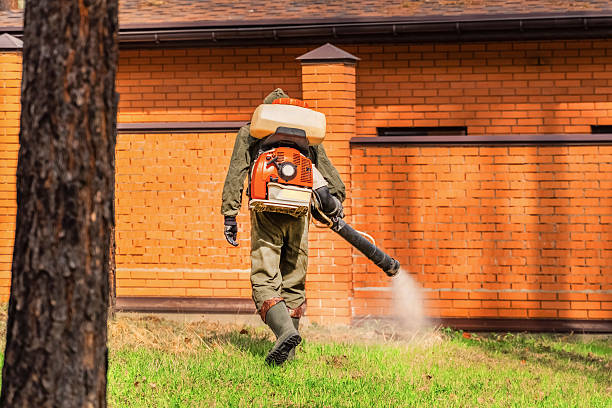 Trusted Ant Control service in Town Creek, AL - Nex Pest Control